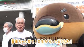 2026/6/11放送・知ったかぶりカイツブリにゅーす
