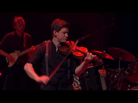 The Kuraybers - Romanian pony