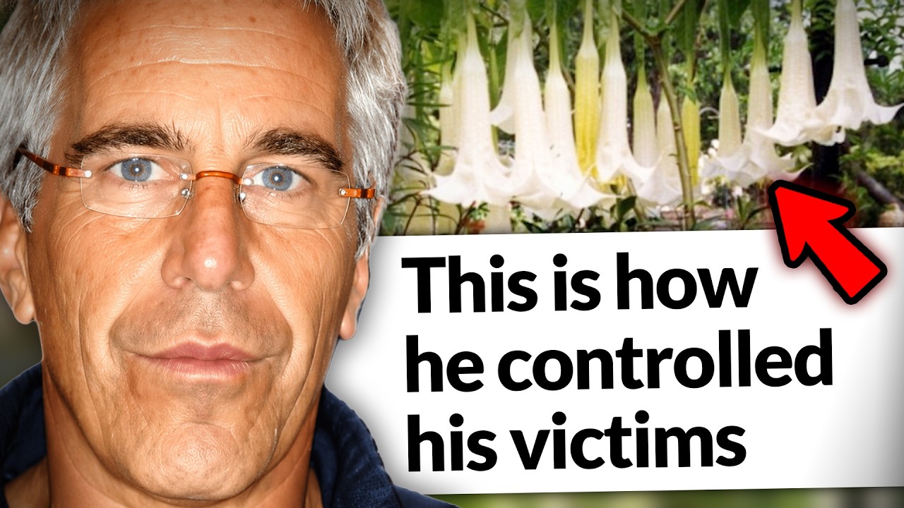 This Movie Exposes What Happened on Epstein’s Island