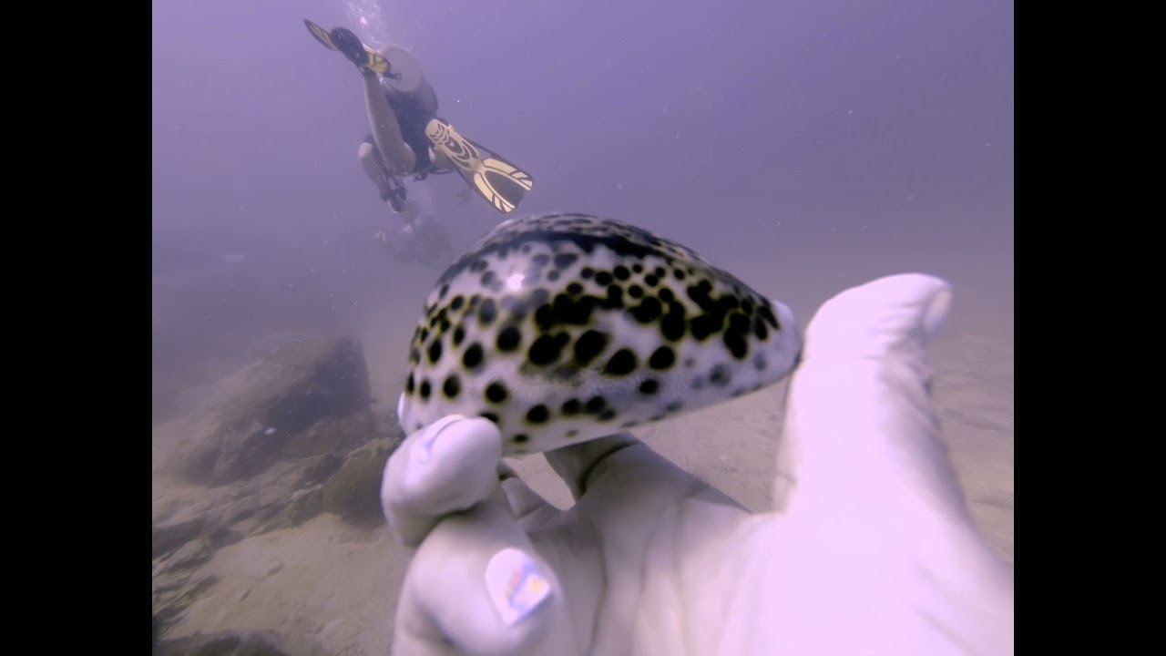 Botum Sakor National Park Video