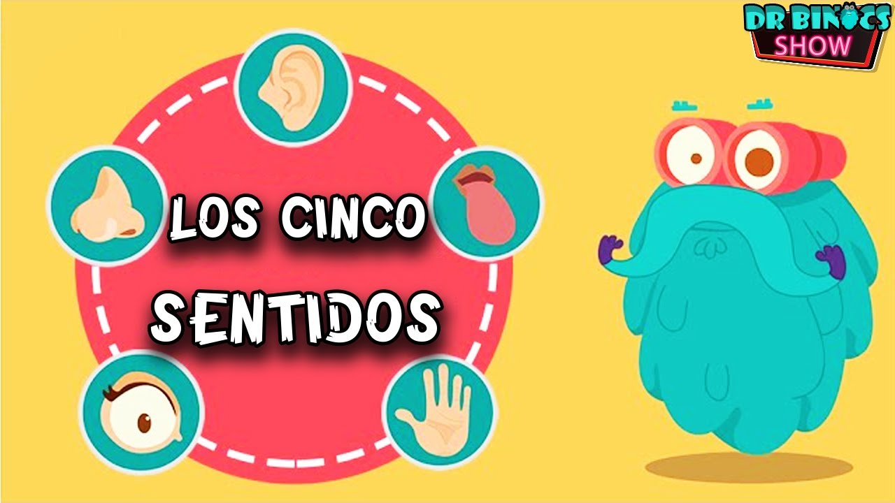 Secretos sobre los 5 sentidos | 2021 dibujos animados de ciencia