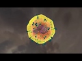 What does bright red blood in stool mean ?  | Best Health Channel