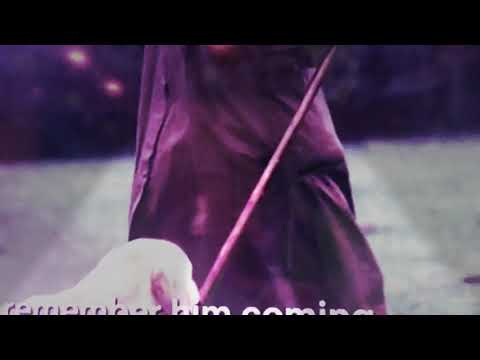 diana in her own words