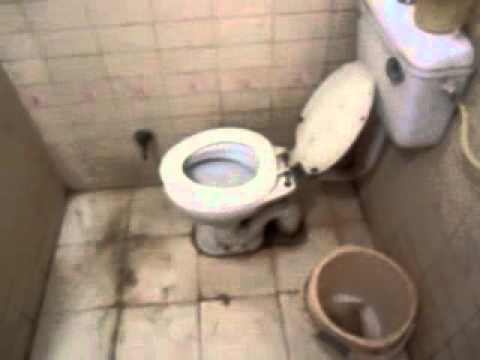 The Shower Curve of Acceptability.