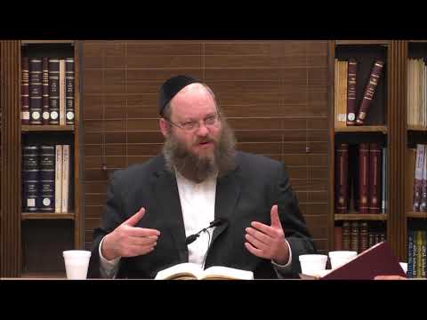 Tanya Review and Overview Chapters 14 Part 2-17 - Rabbi Naftali Silberberg