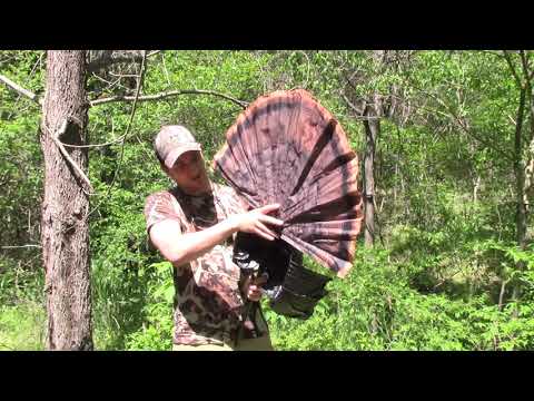 Mojo Scoot n Shoot Review