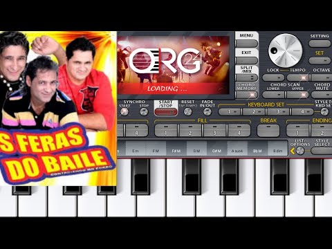 Ritimo Os Feras do Baile para #org2024 #org2024vip