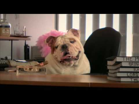 PORNDOGS   The Adventures of Sadie Trailer