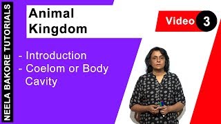 Animal Kingdom  | NEET |  Introduction - Coelom or Body Cavity | Neela Bakore Tutorials
