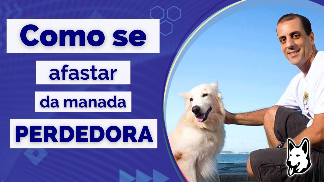 Como se Afastar da Manada Perdedora