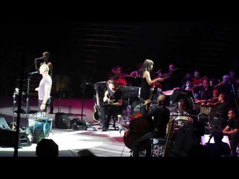 Sting -All Would Envy