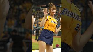 三振歌 短今（サミー）#台湾チア #cheerleader 24/8/23【台湾チアTV】