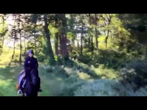 150924 Trail ride at Iron Spring Farm