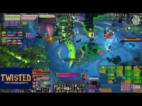 Twisted vs. Goroth Mythic, holy paladin pov