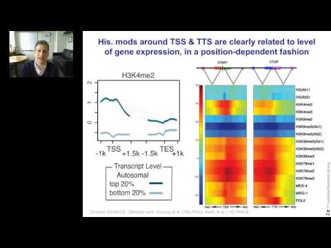 Mark Gerstein - Human Genome Analysis