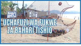 Kwanini uchafuzi wa mazingira ni tishio kwa afya ya binadamu na uchumi