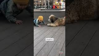 Download lagu Amazed Toddler Meets a Dog for the First Time #Shorts mp3
