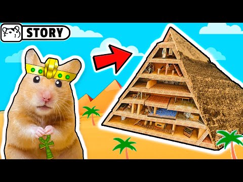 Hamsters in the Pyramid Maze with Traps and Treasures 🔥 Homura Ham