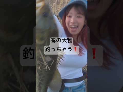 #fishing #釣り　#マルコス