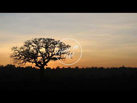 Koyla feat.Zaki Ibrahim - Wake With The Day (Boddhi Satva Afriki Soul Mix)
