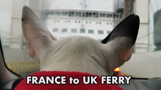 Taking your DOG on the FERRY from FRANCE to UK!