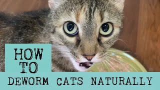 How to Deworm Cats Naturally with Diatomaceous Earth