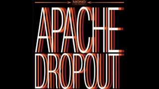 Apache Dropout - Sylvia