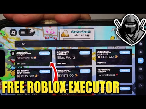 Install Delta Executor FREE Roblox Executor for iOS Android