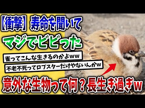 知性とは何ですか?あなたを動物と区別する構成要素はどれですか