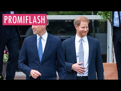 Das verletzte Prinz William am meisten an Harrys Memoiren