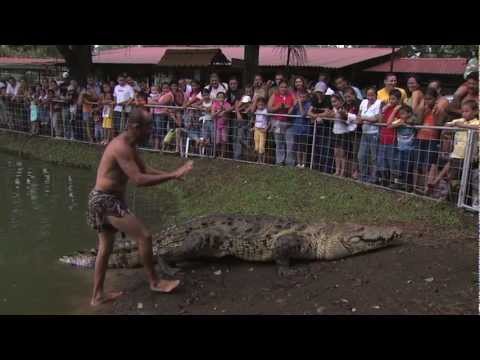 Cocodrilo Pocho.mov