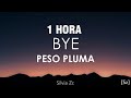 [1 HORA] Peso Pluma - Bye (Letra/Lyrics)