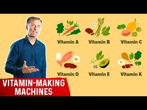 BILE What is BILE and Where is it Produced – Dr Berg