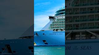 Freedom of the Seas Sets Sail from PortMiami 🛳️ #dream #travel #vacation #cruise