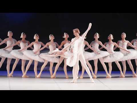 Swan Lake | World Ballet Company