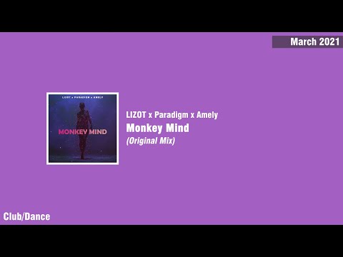 LIZOT x Paradigm x Amely - Monkey Mind