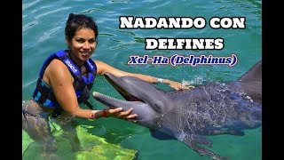 Nadando con delfines (Delphinus) Xel-Ha. Riviera Maya (México)