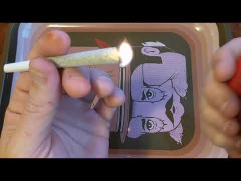 Cherry Punch Preroll 25 Trulieve Eustis