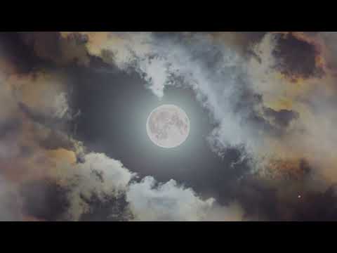 Walking in the Moonlight