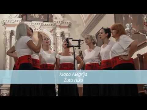 Žuta ruža - Klapa Alegrija, Supetar