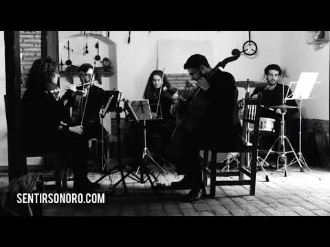 Vídeo Sentir Sonoro 1