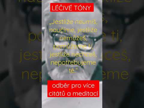 Motivační citáty Lekce svobody Jan Werich #citaty #werich #motivace #shorts
