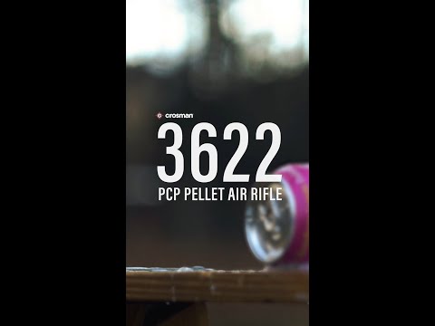 Crosman 3622 PCP Air Rifle Review: Best Entry-Level Option for Beginners!