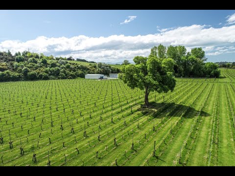 83 Old House Road, Upper Moutere, Tasman, Nelson, 0 bedrooms, 0浴, Viticulture