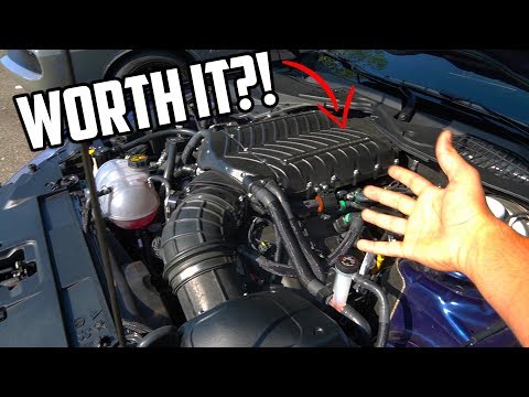 Whipple Supercharged Mustang GT 6 month update...