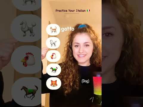 Practice Your Italian 🇮🇹