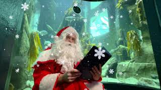 Twas the night before Fishmas story