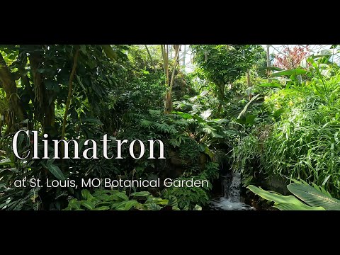 Climatron at Missouri Botanical Garden | St. Louis, MO