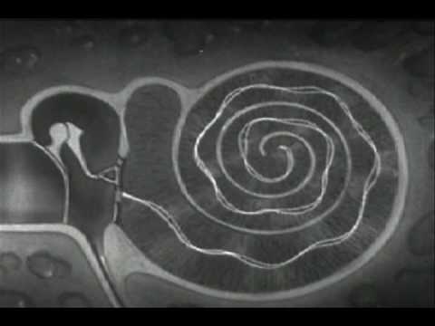 Joytime Radio by The Pimps of Joytime