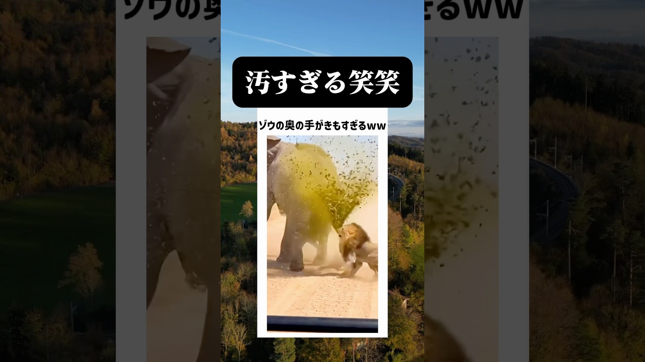 こんなサバンナは嫌だ😂